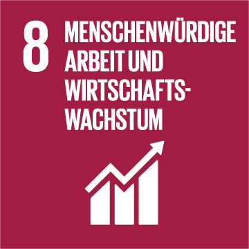 Icon SDG 8