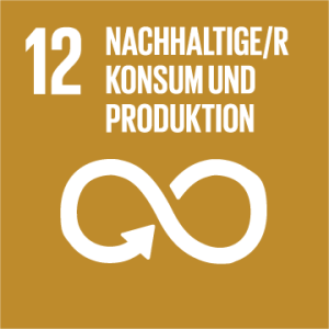 SDG 12