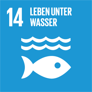 Icon SDG 14